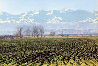 BTC Photo - BTC will traverse agricultural land like this in western Azerbaijan. 