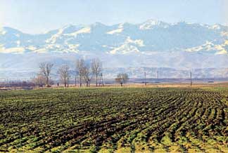 BTC Photo - BTC will traverse agricultural land like this in western Azerbaijan.