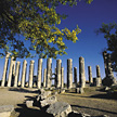 Temple of Zeus Olbius